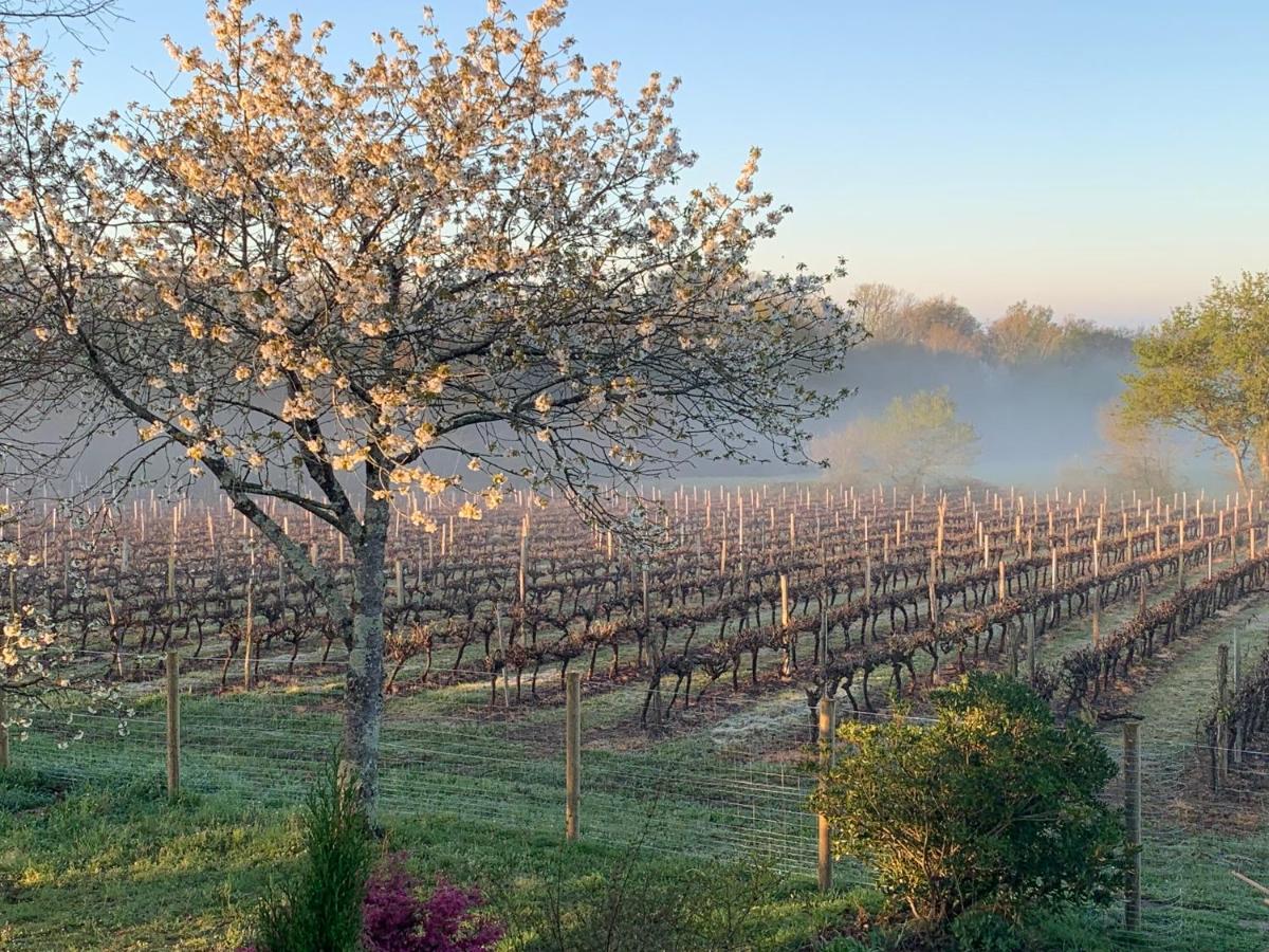 Lauberge De Nogaro Caupenne-d'Armagnac Buitenkant foto